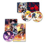 P戦国乙女6+パチスロ戦国乙女3　特別DVDセット
